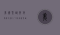 美国圣诞节放假几天？深入了解美国圣诞假期安排与文化习俗