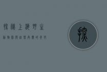 探秘上海野生动物园，与自然共舞的奇妙之旅