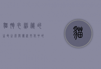 猫胞衣，神秘的生命之源与传统文化中的象征