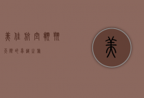 美佳航空，翱翔天际的卓越之旅