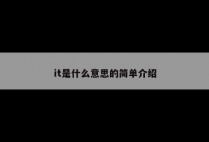 it是什么意思的简单介绍
