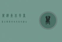 万达东北风，商业巨擘与地域文化的融合之路