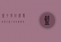 篮子是什么意思（骂人篮子是什么意思）