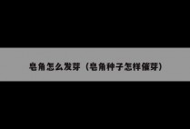 皂角怎么发芽（皂角种子怎样催芽）