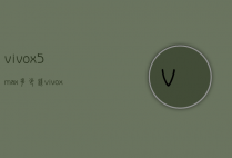 vivox5max多少钱（vivox5max的参数报价）