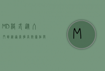 MD格式，从入门到精通，掌握高效写作与文档排版