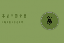 梦幻田园，心灵的归宿与自然的交响