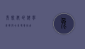 兔饲料的科学选择与合理喂养指南
