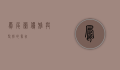凤尾兰，优雅与坚韧的象征
