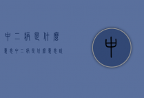 中二病是什么意思（中二病是什么意思说）