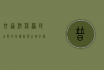 普通秧鸡，湿地生态的守护者与生物多样性的象征