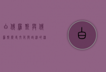 白俄罗斯与俄罗斯，历史、文化与政治的深度对比