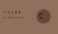 CV是什么意思?全面解析CV的定义、用途与撰写技巧