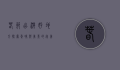 春节出游好地方，探索年味与美景的完美结合