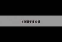 5克银子多少钱
