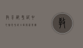 教育部考试中心雅思考试，全面解析与备考指南
