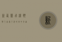 新西兰飞机，翱翔于南太平洋的空中奇迹