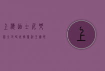 上海迪士尼乐园全攻略，玩转魔法王国的终极指南