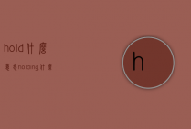 hold什么意思（holding什么意思）