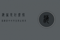 海葵是什么？探索海洋中的花朵与生态角色