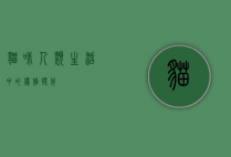 猫咪，人类生活中的优雅伙伴