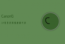 Canon G1X，专业级便携相机的经典之作