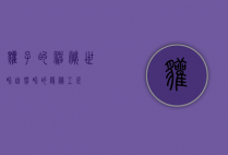 獾子的神秘世界，自然界的隐秘工匠