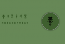 养小兔子的乐趣与责任，从新手到专家的全面指南