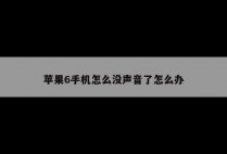 苹果6手机怎么没声音了怎么办
