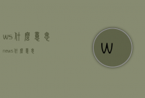 ws什么意思（news什么意思）