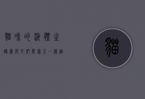 猫咪的液体之谜，为何它们能像水一样缩在盒子里？