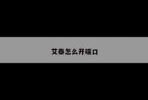 艾泰怎么开端口