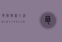 萌猫猫图片，治愈心灵的毛茸茸小天使