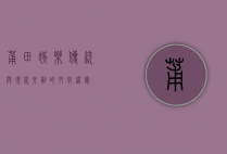 莆田娱乐，传统与现代交融的文化盛宴