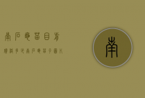 南石龟苗目前价格多少（南石龟苗子图片）