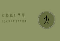 大悟县，红色热土上的绿色发展与文化传承