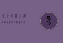 兔子的图片，从艺术到科学的视觉探索