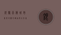 银隆百货，城市商业地标的崛起与未来展望