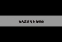 吉大高青专利有哪些