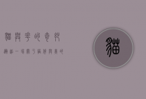 猫与花的奇妙邂逅，一场关于陪伴与美的无声对话
