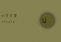 url是什么（域名url是什么）