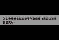 怎么查看黑龙江省卫星气象云图（黑龙江卫星云图实时）
