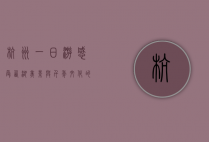 杭州一日游，感受西湖美景与千年文化的完美融合