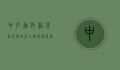 中石油托福成绩查询指南，全面解析与实用技巧