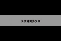 天棱港湾多少钱