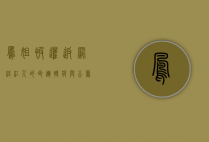 凤姐被遣返，网络红人的命运转折与公众反思