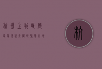 杭州上城区，历史与现代交织的繁华之地