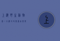上海野生动物园一日游攻略，探索自然与野生动物的奇妙之旅