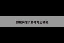 散尾葵怎么养才是正确的