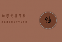 蚰蜒是什么,揭秘这种神秘生物的生态与习性